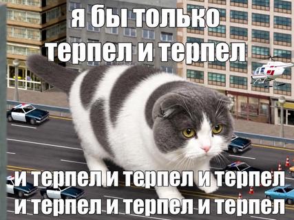 Кравцова Кристина Владимировна